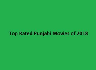 Top Rated Punjabi Movies of 2018